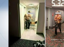 Mabuk Berat, Turis Curi Flamingo dan Paksa Selfie di Kamar Hotel