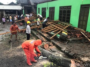 Pohon Tumbang Timpa Teras Rumah di Mojosongo Boyolali