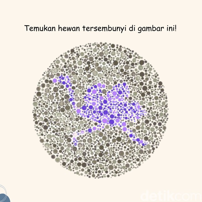 Tebak Gambar Hewan Ini Terlihat Easy, Tapi Kalau Susah Mungkin Perlu Cek Mata