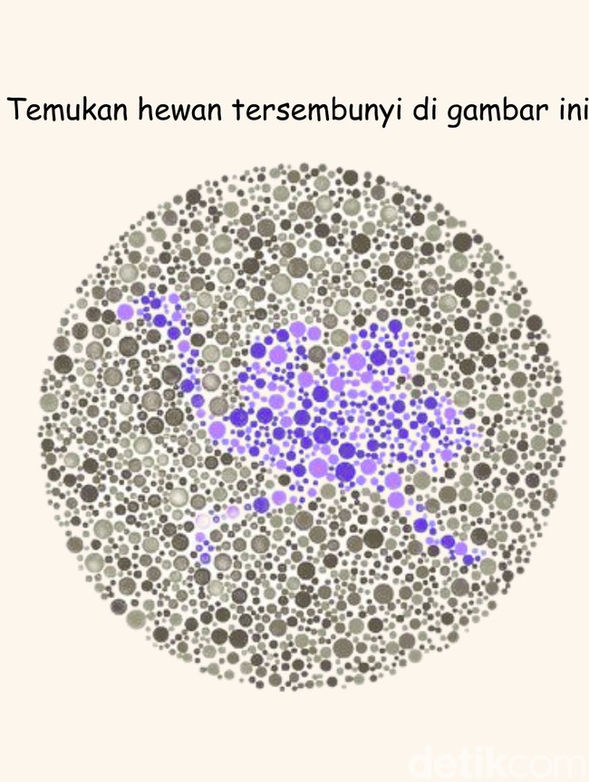 Tebak Gambar Hewan Ini Terlihat Easy, Tapi Kalau Susah Mungkin Perlu Cek Mata