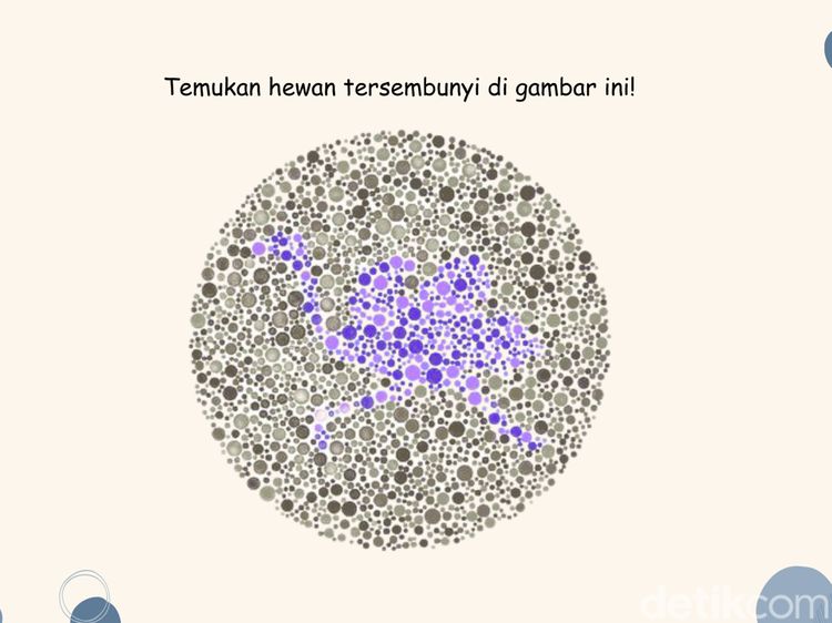 Tebak Gambar Hewan Ini Terlihat Easy, Tapi Kalau Susah Mungkin Perlu Cek Mata
