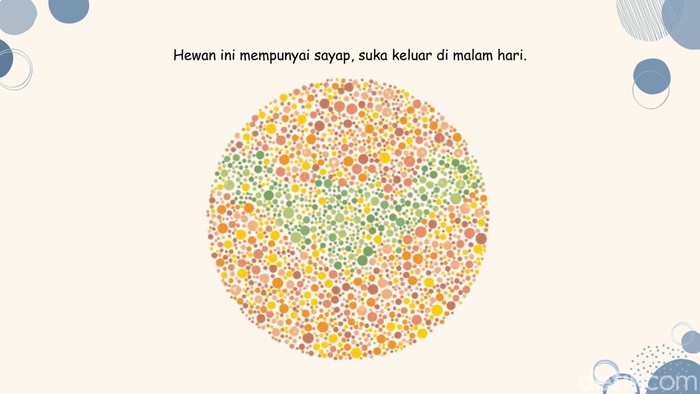 Tebak Gambar Hewan Ini Terlihat Easy, Tapi Kalau Susah Mungkin Perlu Cek Mata
