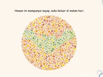 Tes Ketajaman Saraf Mata, Temukan 7 Hewan di Tes Buta Warna Ini