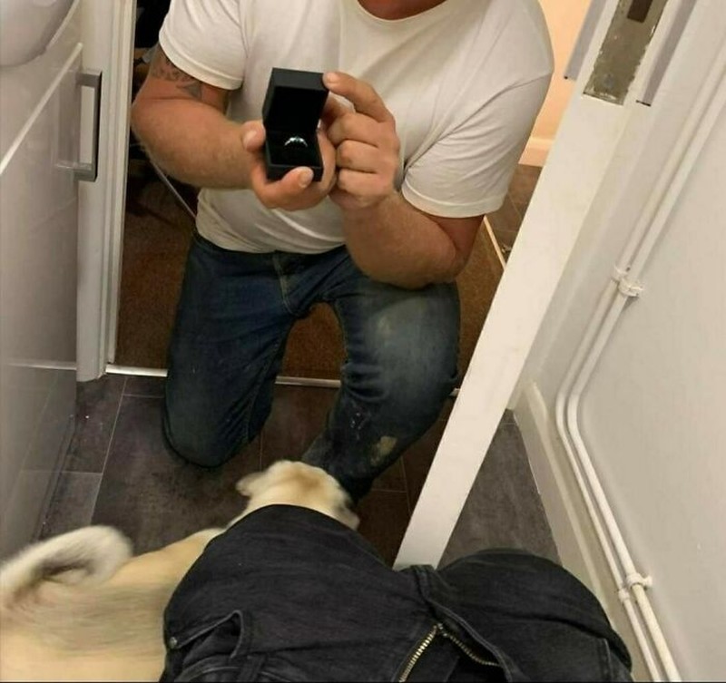 Lamaran adalah momen romantis yang dinantikan sepasang kekasih dan membuat yang menyaksikan umumnya ikut happy -- atau malah cringe kayak berikut ini?