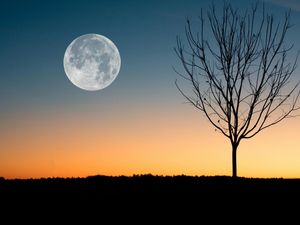 Tanda-tanda Malam Lailatul Qadar dan Amalan yang Dianjurkan
