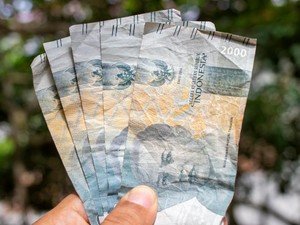 Apa Itu Panda Bond yang Jadi Langkah Pemerintah RI untuk Menguatkan Rupiah?