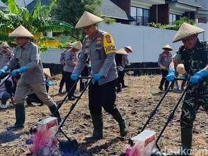 Polda Bali Tanam Jagung Serentak, Dukung Swasembada Pangan 2026
