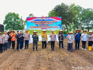 Sinergi Polri-Pemkab Karawang Sulap 27 Hektare Lahan Jadi Kebun Jagung