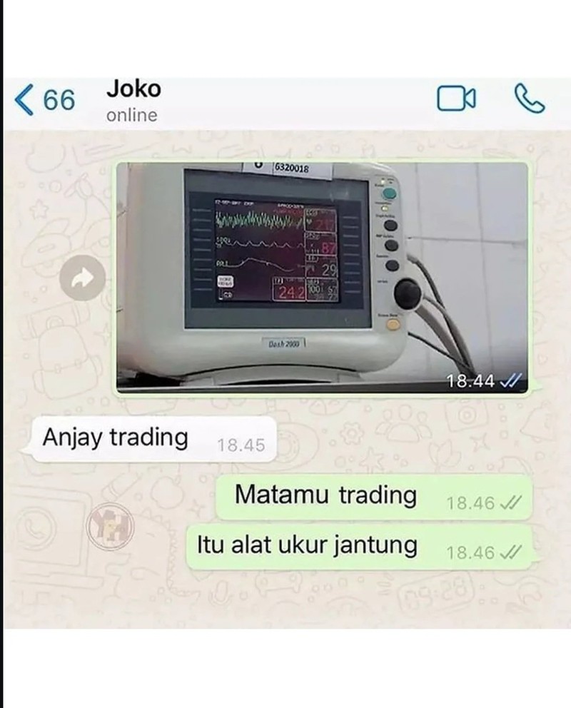 Kumpulan Chat Absurd Warganet