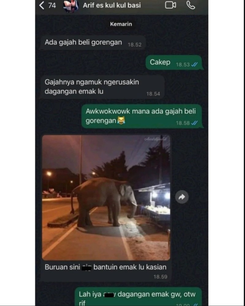 Kumpulan Chat Absurd Warganet