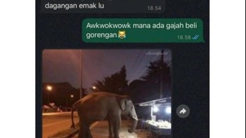 Ada gajah di warung... Foto: X.com
