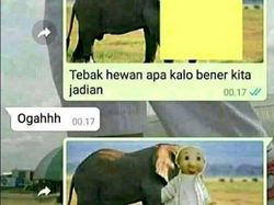 Kumpulan Chat Absurd Warganet +62 yang Bikin Ngakak