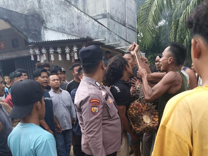Pelaku diarak keliling kampung sambil bawa sawit hasil curian (Dok Poksek Rambah Hilir).
