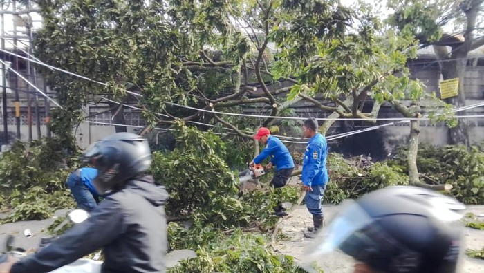 Petugas memotong pohon tumbang di Bandung Barat