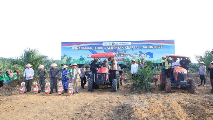 Polda Riau menggelar penanaman jagung serentak di Kabupaten Pelalawan, Sabtu (7/2/2026).