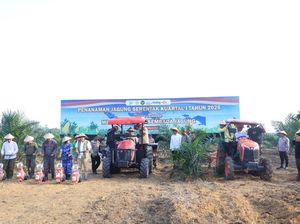 Polda Riau Inisiasi Asuransi Pertanian untuk Proteksi Tanaman Jagung