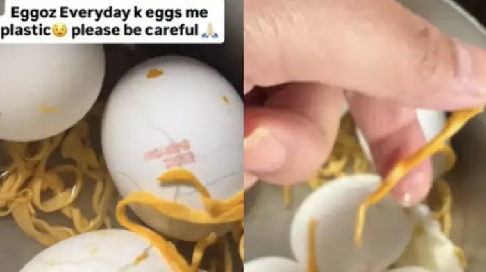 fakta mengenai isu telur mengandung plastik