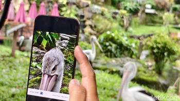 Contoh hasil zoom 25x. Foto: Adi FR/detikINET