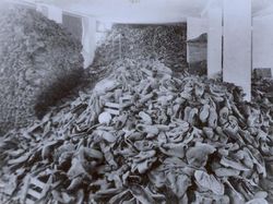 Daftar Sejarah Paling Kelam yang Pernah Terjadi di Dunia