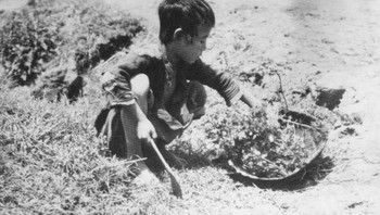 Tak hanya Irlandia, kelaparan besar juga pernah dialami China pada 1959 dan 1961. Menurut Asisosiasi Studi Asia, sekitar 30 juta orang meninggal karena kelaparan. Ini adalah kelaparan paling mematikan hingga saat ini. Mereka yang tidak langsung kelaparan mengganjal perutnya dengan memakan daun, kulit kayu, dan tanah untuk bertahan hidup. Foto: Bored Panda