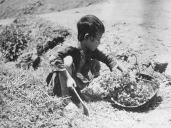 Daftar Sejarah Paling Kelam yang Pernah Terjadi di Dunia