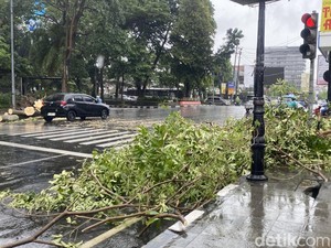 Hujan Disertai Angin Kencang di Semarang, Pohon Tumbang di Sejumlah Titik