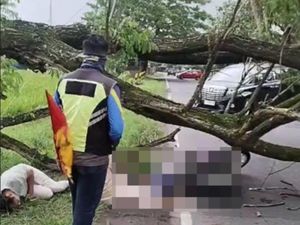 Hujan Angin Kencang Terjang Magetan, 1 Tewas-2 Luka Tertimpa Pohon