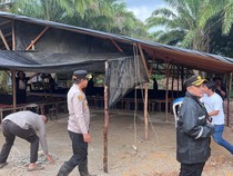 Polisi Gerebek Arena Sabung Ayam di Pangkalpinang