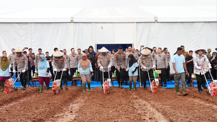 Penanaman Jagung Serentak Kuartal I 2026, Polri Salurkan Alsintan ke Petani - Update 1