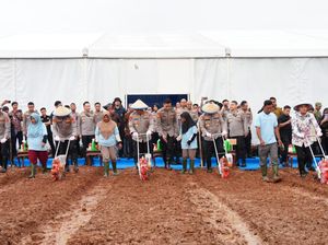 Penanaman Jagung Serentak Kuartal I 2026, Polri Salurkan Alsintan ke Petani