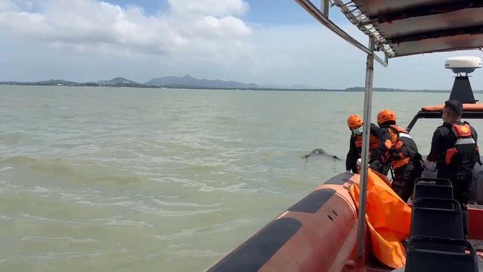 Tim SAR gabungan saat hendak mengevakuasi jasad penumpang Speedboa yang terjatuh ke laut di perairan Karimun setelah empat hari pencarian. (Dok Tim SAR)