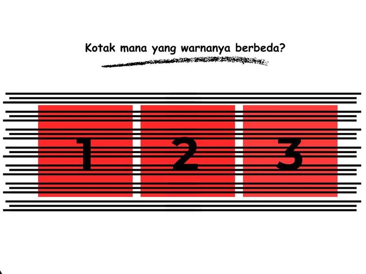 Uji Ketelitian Mata, Bisa Temukan Objek yang Warnanya Beda Tipis?