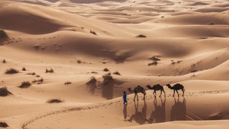 Ibnu Batutah Petualang Muslim Penjelajah Dunia di Abad ke-14