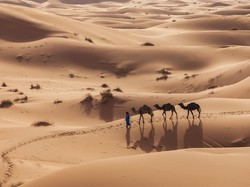 Bukti Baru Ungkap Sahara Pernah Hijau dan Penuh Hujan