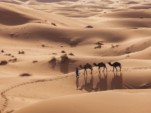 Bukti Baru Ungkap Sahara Pernah Hijau dan Penuh Hujan