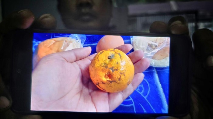 Jeruk berbelatung di menu MBG SDN Mekarasih Sukabumi.