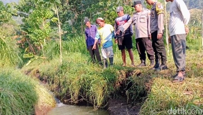 Lokasi kejadian bocah tenggelam di kubangan sawah Situbondo