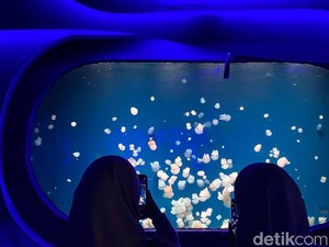 Keseruan Pengunjung Ngabuburit dan Buka Puasa di Jakarta Aquarium