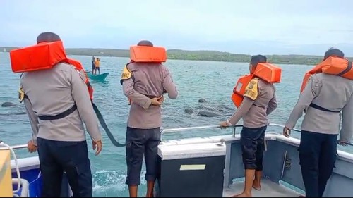 Polisi saat menyelamatkan segerombolan paus pilot yang terjebak pukat nelayan di Perairan Desa Fuanfuni, Rote Ndao, NTT, Senin (9/3/2026). (Dok Polsek Rote Barat Daya).