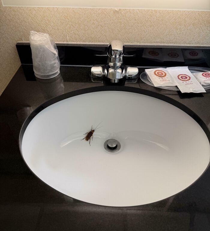 Pelayanan Hotel Paling Buruk yang Dialami Netizen, Kamu Pernah Juga?