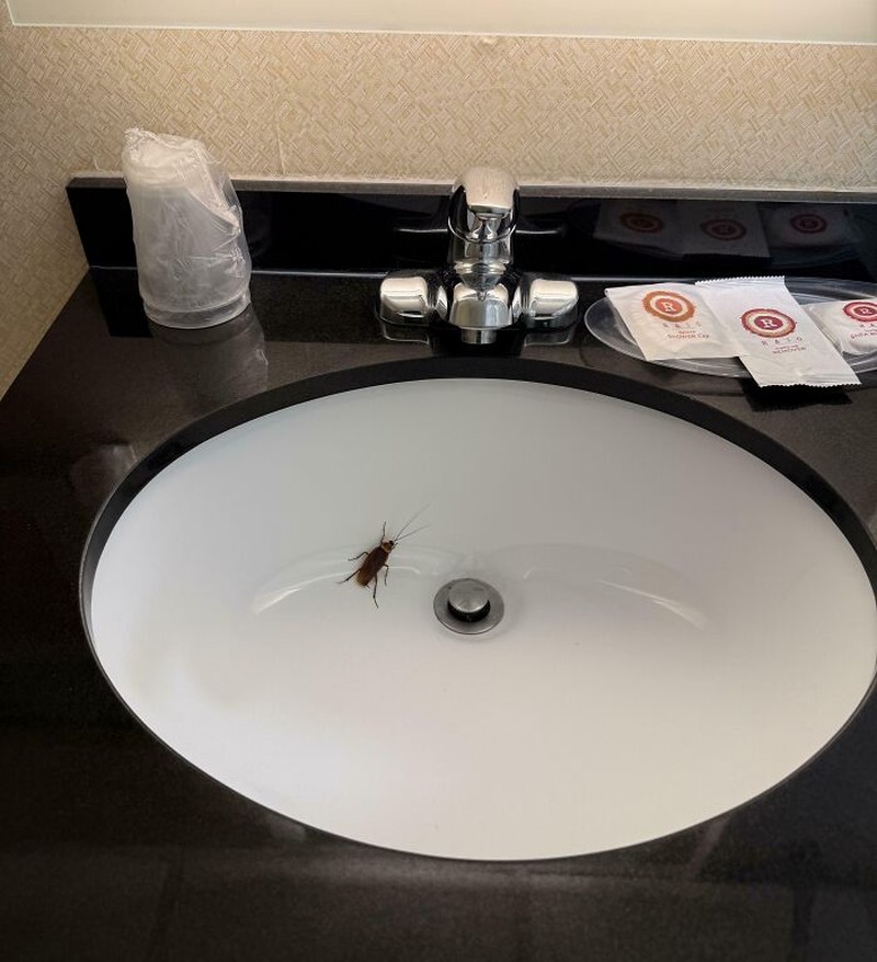 Hotel tempat untuk beristirahat, atau bahkan untuk liburan dari penatnya kehidupan. Tapi, kalau ketemu hotel yang kayak gini, auto kesel doang bawaannya.