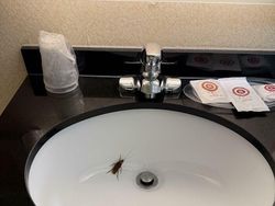 Pelayanan Hotel Paling Buruk yang Dialami Netizen, Kamu Pernah Juga?