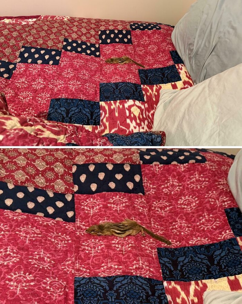 Hotel tempat untuk beristirahat, atau bahkan untuk liburan dari penatnya kehidupan. Tapi, kalau ketemu hotel yang kayak gini, auto kesel doang bawaannya.