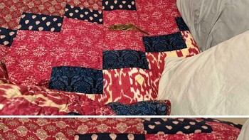 Pesan Airbnb dan ada bangkai hewan di balik bantalnya. Foto: 0penYourMind via Bored Panda  