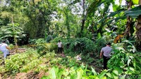 Ia kemudian membawa benda tersebut sendiri menggunakan karung dari lokasi sungai menuju rumahnya yang berjarak sekitar 50 meter.
