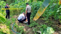 Setelah digali, benda tersebut ternyata berbentuk panjang menyerupai proyektil. Namun Edi masih mengira benda itu hanyalah besi tua.