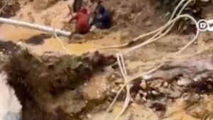  Video Tambang Emas Ilegal Tersembunyi di Tengah Perkebunan Sawit