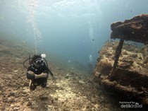 Menjelajah Bounty Wreck, Surga Selam Tersembunyi di Gili Meno