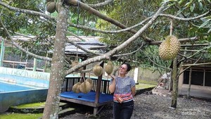 Keseruan Lebaran di Rumah Durian Pak Tukimin