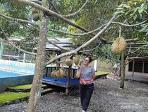 Keseruan Lebaran di Rumah Durian Pak Tukimin